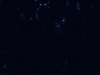 samirawinter art music space winter GIF