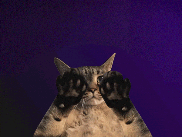 Cat moving its paws with the phrase "the more you know" above