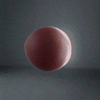 GIF by Gifmk7
