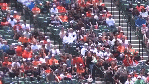 davyandrews giphyupload GIF