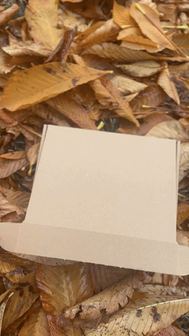 johnyalaskan giphyupload GIF