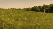 braid GIF by Topshelf Records