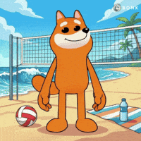 Jumping Ocean Waves GIF by BONK