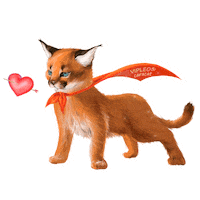 Cat Котенок Sticker by VIPLEO® is the cattery founder of legal caracats.
