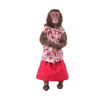 Monkey Service Sticker