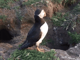 Where Are You What GIF