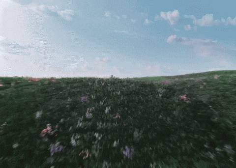 Blue Valentine Bae GIF