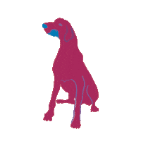 Good Dog Sticker by Binary Style