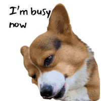 Corgi Milo Sticker