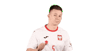 Handball Euro Sticker by EHF