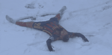 Real Salt Lake Snow GIF by Major League Soccer