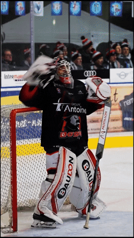 Hockey Sur GIF by Dogs Cholet
