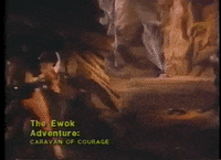 mdleone caravan of courage GIF