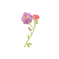 Flower Love Sticker by The Brand New Studio