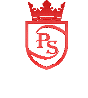 Ps Sticker by PERSONA