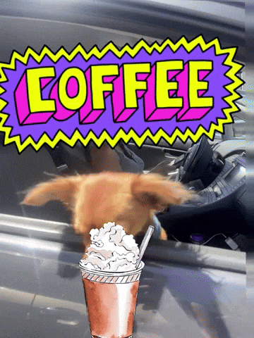 Need Coffee GIF by Breathing Room