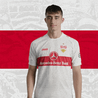 Football Facepalm GIF by VfB Stuttgart