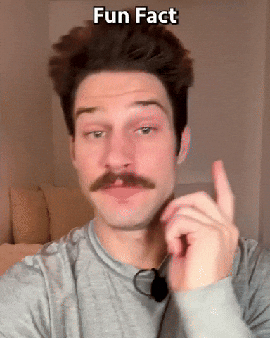 Fun Fact GIF by Respective