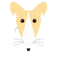 Dog Adopt Sticker