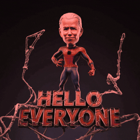 Biden GIF by Gallery.fm