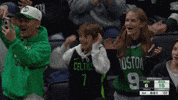 Happy Celtics GIF by NBA