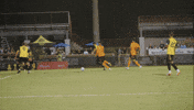 Black And Yellow Soccer GIF by Charleston Battery