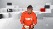 Football Soccer GIF by Bundesliga