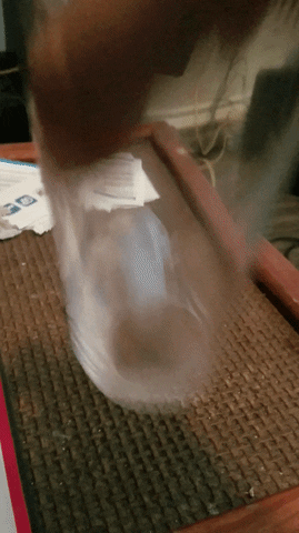TheApocalypse giphyupload GIF