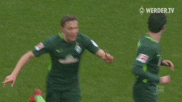 werder bremen bundesliga GIF