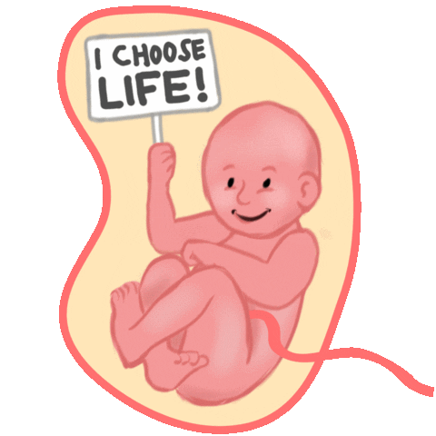 Viva La Vida Baby Sticker