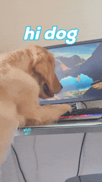 Lifestyle Ilios GIF