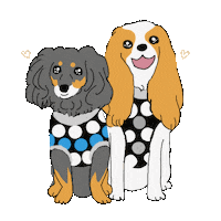 Dog Cavaliers Sticker