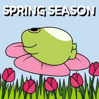 Bitcoin Spring GIF by Ordinary Frends