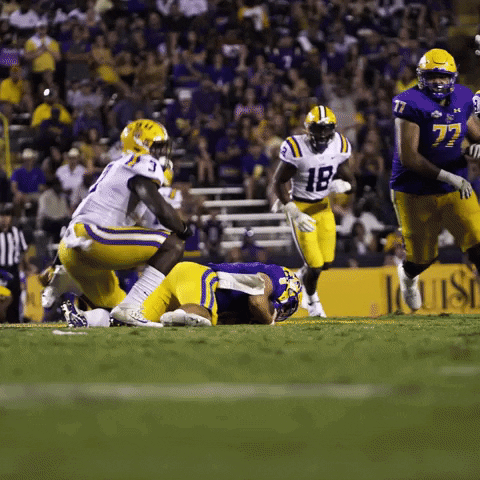 Sport Griddy GIF by LSU Tigers
