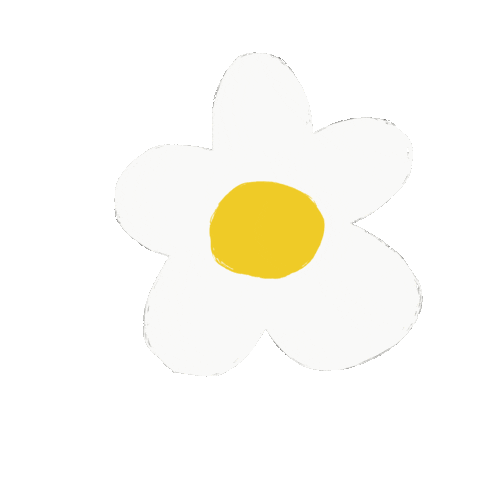 fransiebycindy white flower yellow daisy Sticker