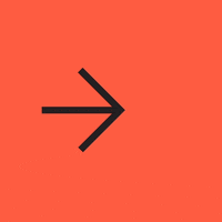 picturepressplay arrow eat fly lizard GIF