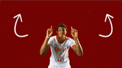 choletbasket sport basketball basket cb GIF
