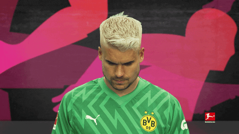 Posing Borussia Dortmund GIF by Bundesliga