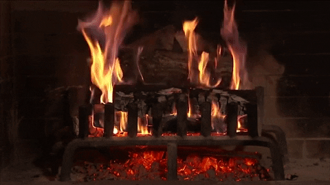 Yule Log Fireplace GIF by Roku