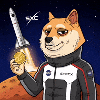 Digital Art Space GIF by Doge Pound