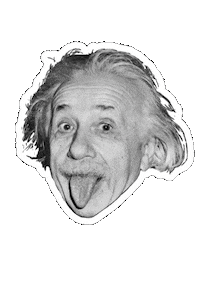 Einstein Prioritã  Sticker by Priorita language centers