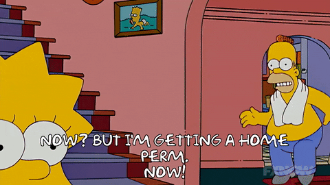 Lisa Simpson Herman GIF by The Simpsons