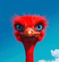 Red Apple GIF by elbe-obst