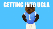 Uclabound GIF by UCLA