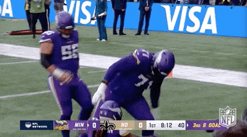 Minnesota Vikings Football GIF by NFL