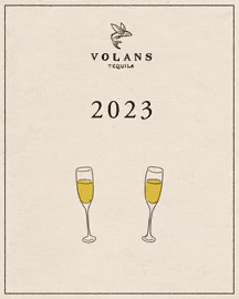 New Year Cheers GIF by Volans Tequila