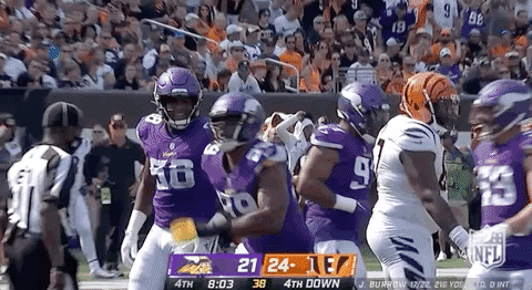 Minnesota Vikings Football GIF by NFL