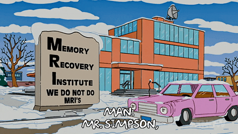 Episode 9 Outside Of The Memory Recovery Institute GIF by The Simpsons