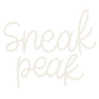 Photography Booking Sticker