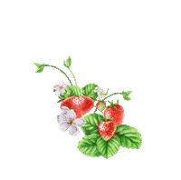 Absolut Juice Sticker by Absolut Vodka